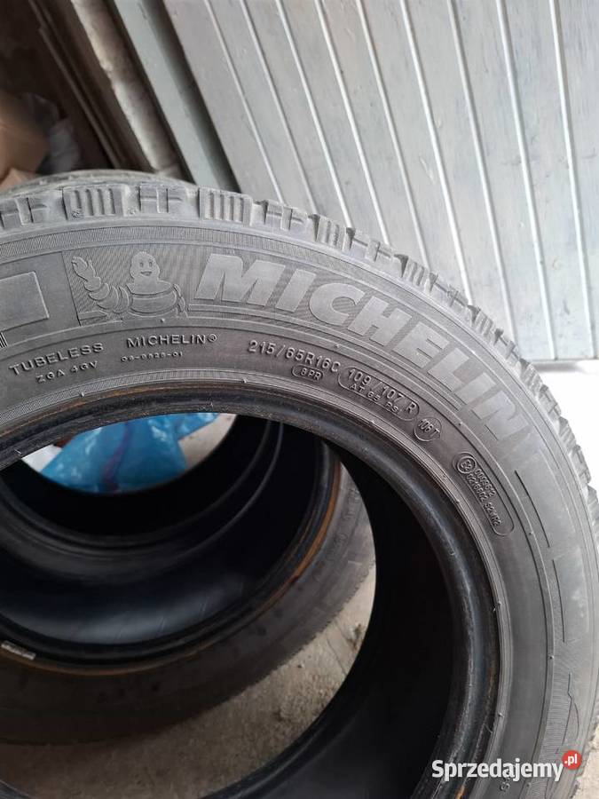 0pony zimowe 2156516C świętokrzyskie Działoszyce