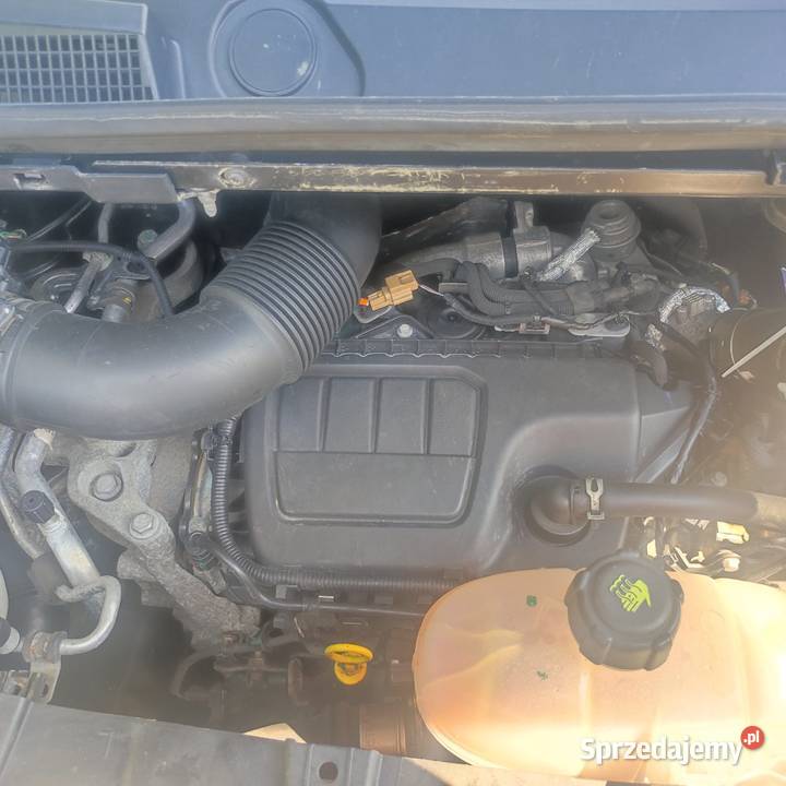 Renault Trafic 16 6osób brygadowa zamiana Tarnobrzeg