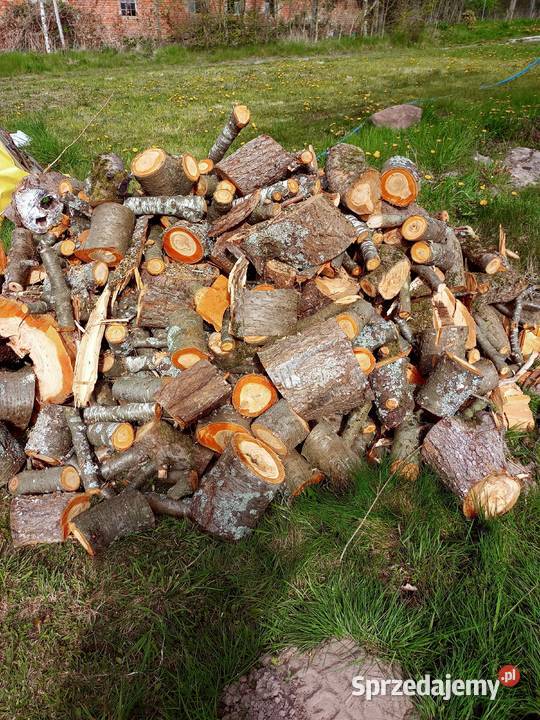 Drewno Suche Do Wędzenia Owocowe Ekologiczne