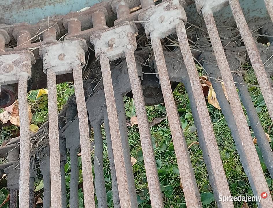 Kopaczka elewatorowe transport mi 2rzedowa Nowa