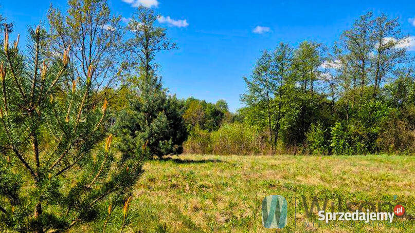 sprzedaży gruntu 1940m2 Zambski Kościelne