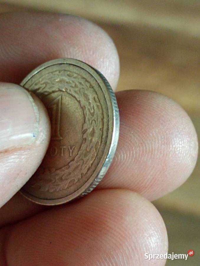 Sprzedam monete 1 zl 1990 Chełm