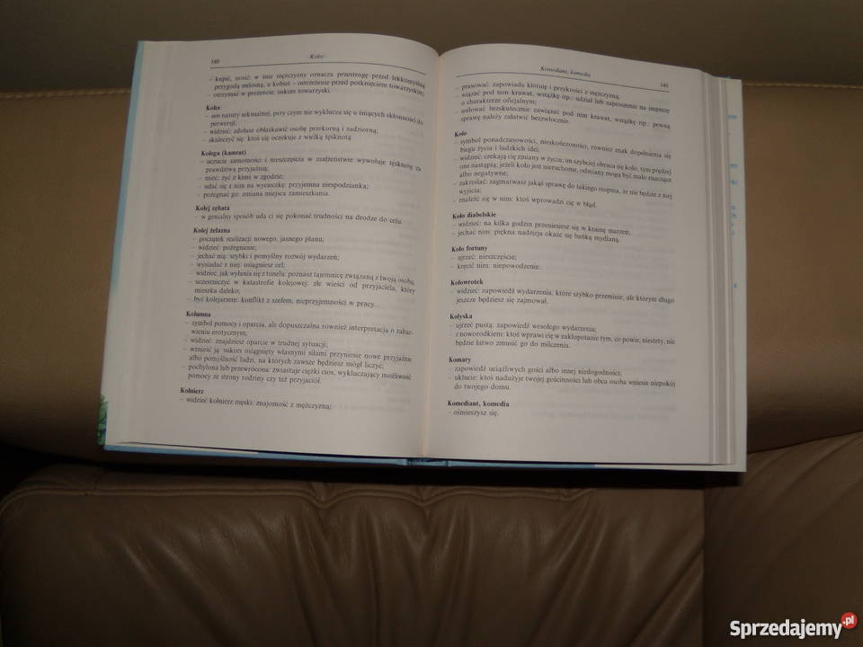 Książka Leksykon symboli marzeń sennych Proza i poezja Warszawa