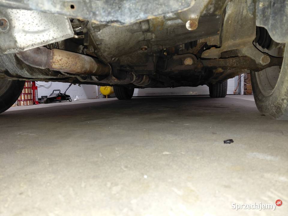 Alfa Romeo 25 V6 Busso 2000r Rok produkcji 2000 Pępowo sprzedam
