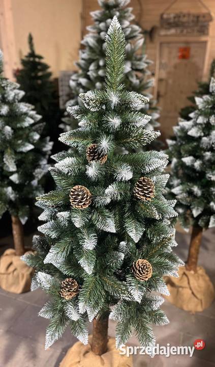 Piękna choinka 250 w metalowym stojaku Wrocław