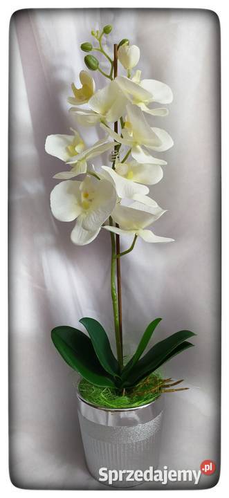 Storczyk sztuczny kompozycja kwiatowa Dekoracje i ozdoby Sędziszów Małopolski