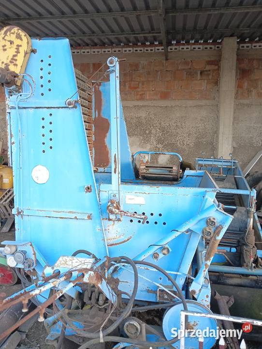 Kombajn do cebuli ziemniaków selerów Bolko