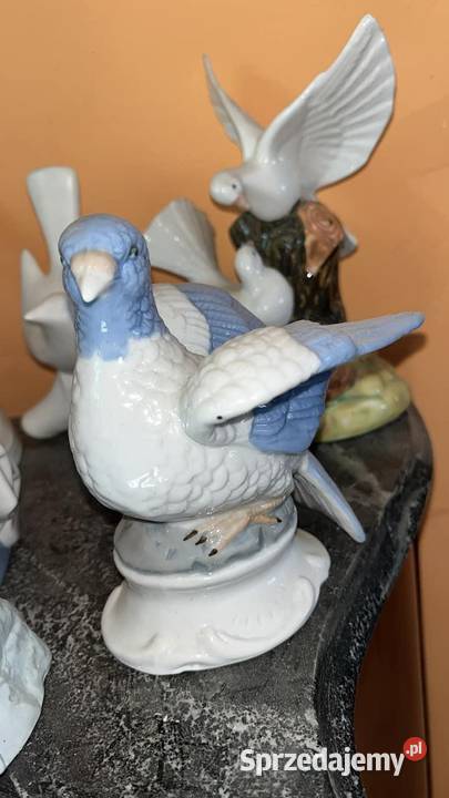 Figurka porcelanowa Piękny Gołąb ptaszek 65 Gdańsk