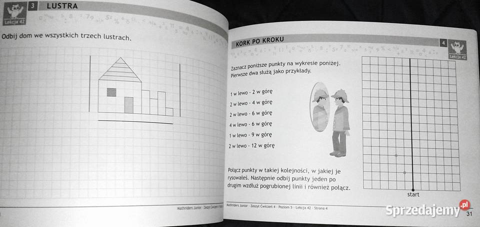 MathRiders Junior Poziom 5 Zeszyt zadań domowych Chełm sprzedam