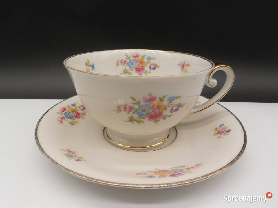 Filiżanka porcelanowa Tirschenreuth Raszków