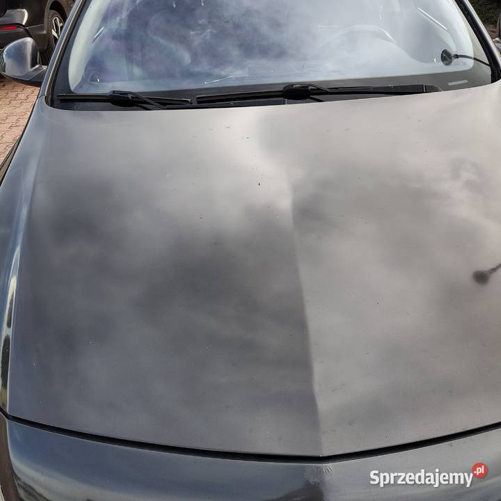 Opel Insignia 20 CDTI 130 295000km łódzkie Bełchatów