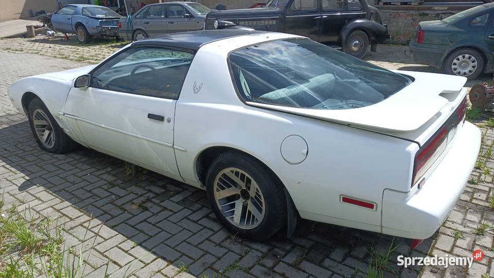 Pontiac Firebird 31 V6 1991 r Sępólno Krajeńskie