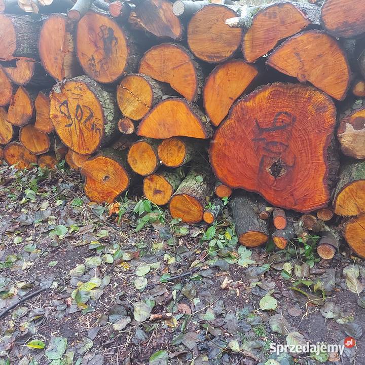 Olcha Kominkowe opalowe do wędzenia Opał sprzedam