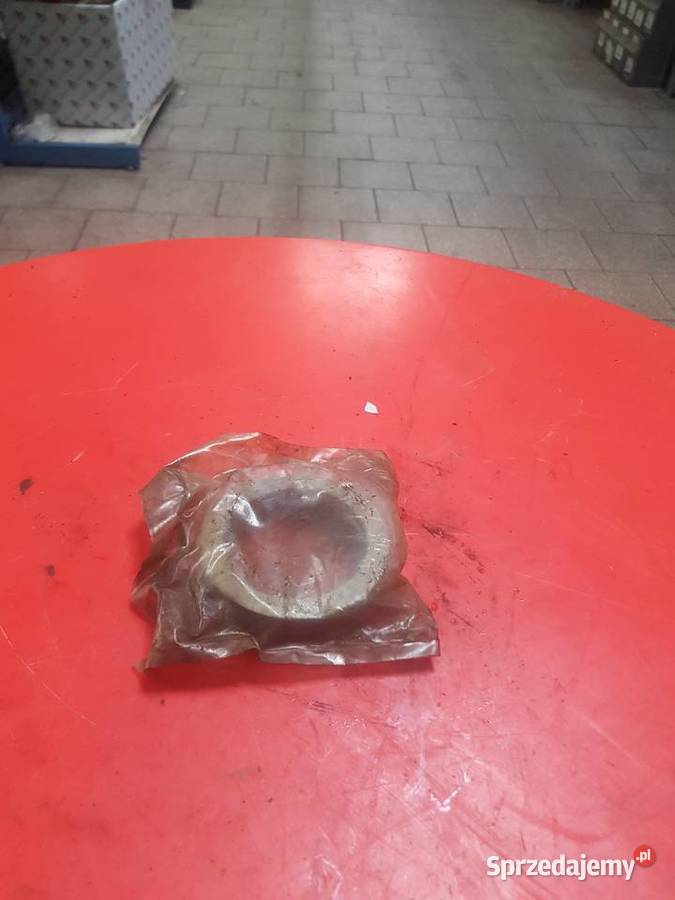 51113 Łożysko lubuskie