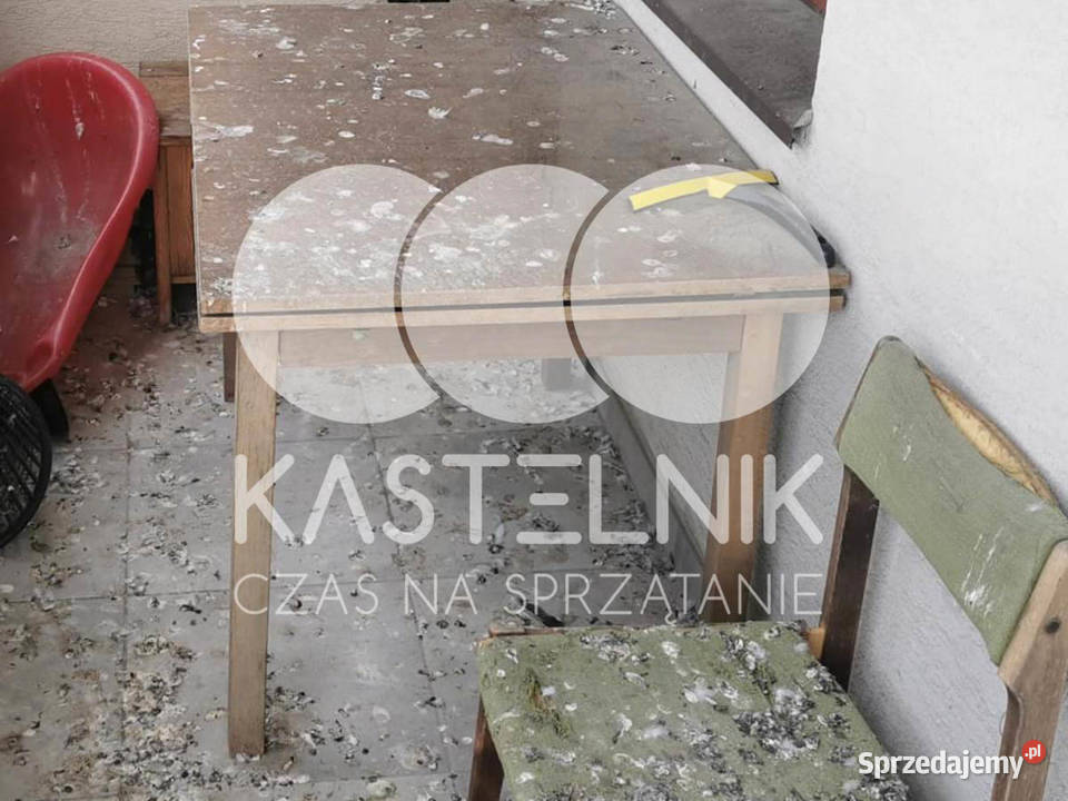 Sprzątanie gołębiach Zambrów Kastelnik mycie Sprzątanie domów i mieszkań