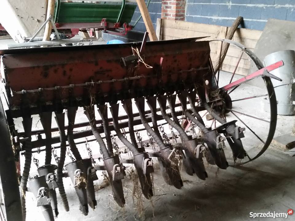 siewnik wielkopolskie Ostrów Wielkopolski sprzedam