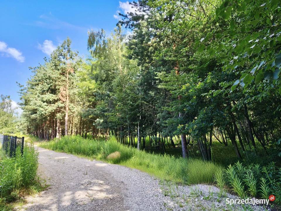Działki budowlane Bratucice gmina Rzezawa prąd małopolskie