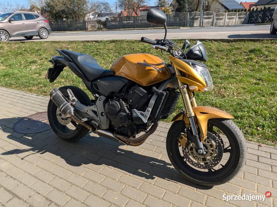 Honda Hornet 600 stan perfekcyjny zadbany nieuszkodzony Dębica