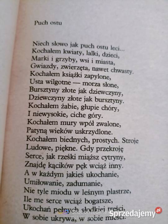 Sztaudynger Piórka książki Warszawa księgarnia