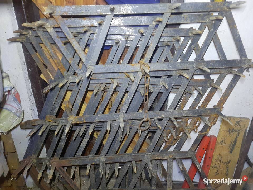 Brony polowe 5 składane piątki mazowieckie