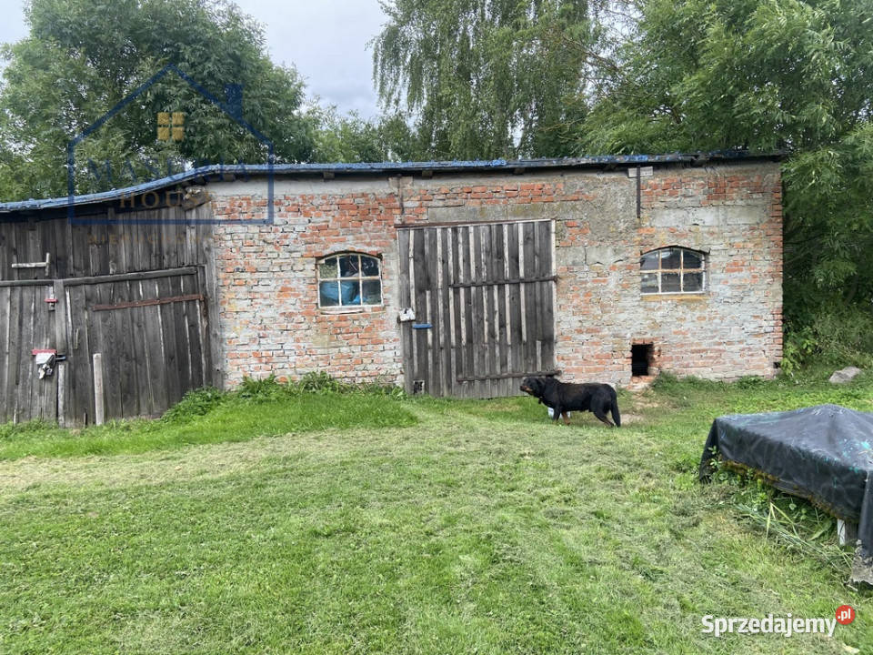 Siedlisko w miejscowości Górki gmStary Dzierzgoń