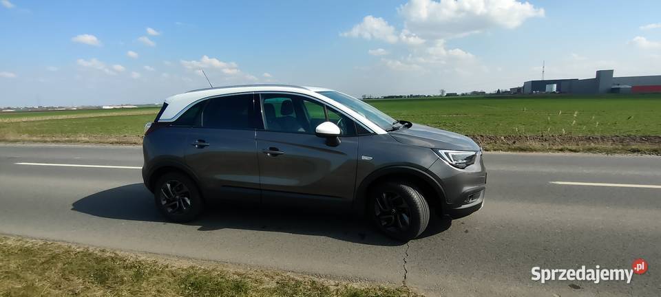 Opel Crosland X 2020 nieuszkodzony Kościan