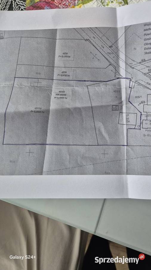 Sprzedaż domu z plantacją borówki zachodniopomorskie Świeszyno sprzedam