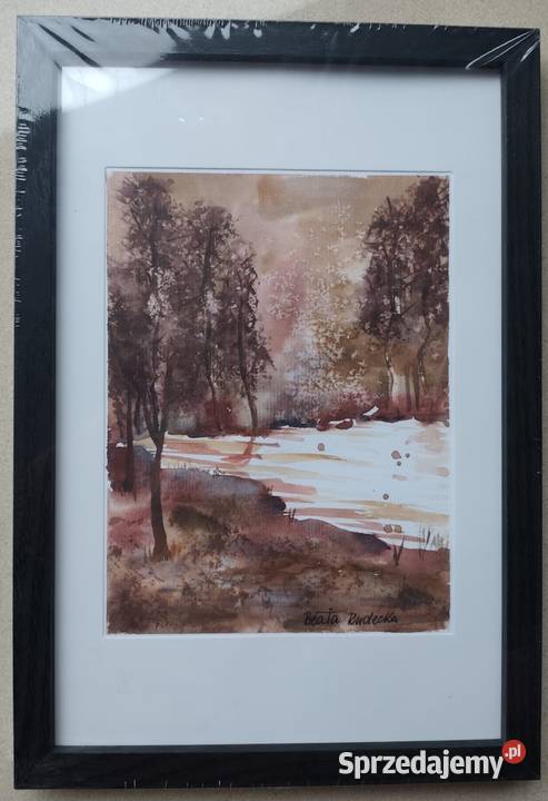 Akwarela Akwarelka Obraz pt Leśny Szmer opolskie Opole sprzedam