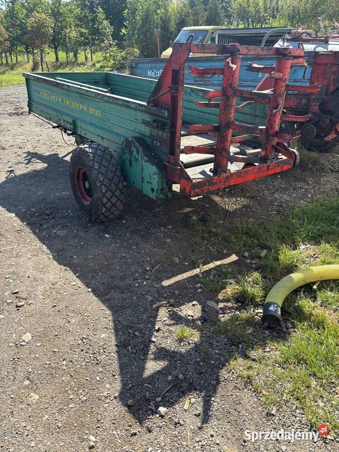 Rozrzutnik obornika górski Męcina