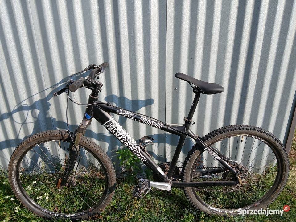 rower mtb Wheeler Buddy 03 Bydgoszcz sprzedam