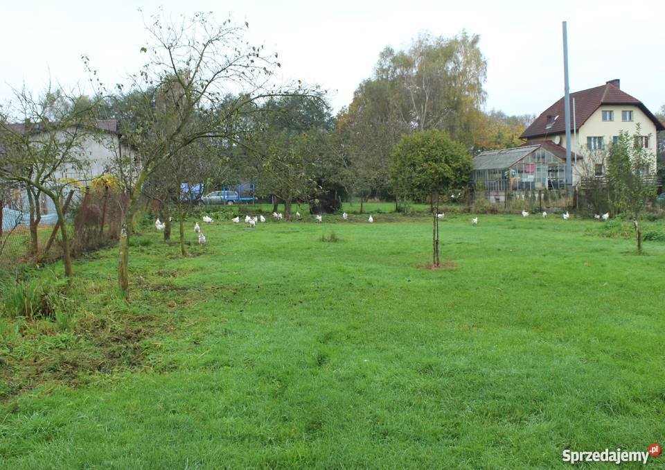 Działka Szczecin Płonia budowlana 1924 m2 Grunty i działki Szczecin sprzedam