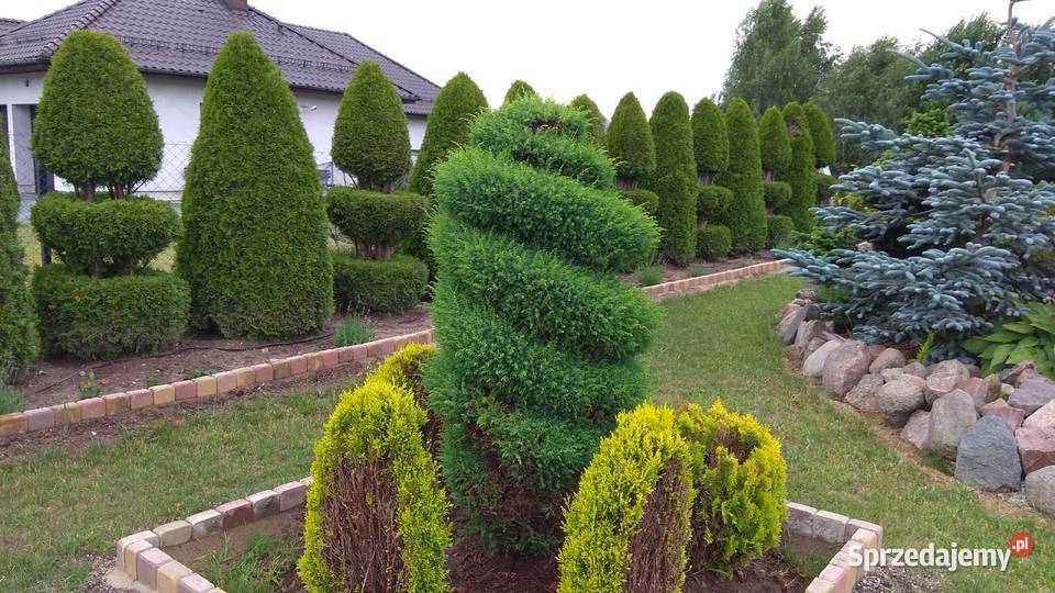 Usługi ogrodnicze i malowanie i budowlane zachodniopomorskie Szczecinek