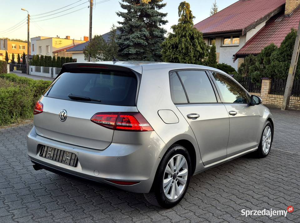 Volkswagen Golf 7 16 TDI BlueMotion diesel wielkopolskie Leszno