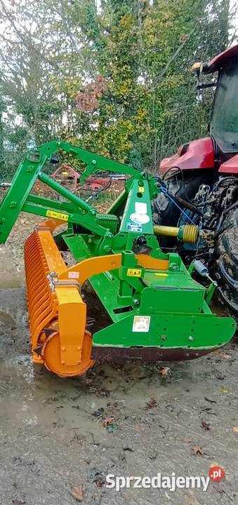 Brona aktywa Amazone dolnośląskie Nowogrodziec