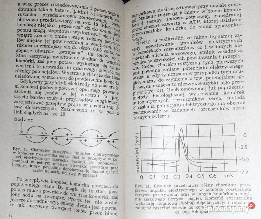 Automatyzm pracy serca Bronisław Cymborowski miękka Chełm