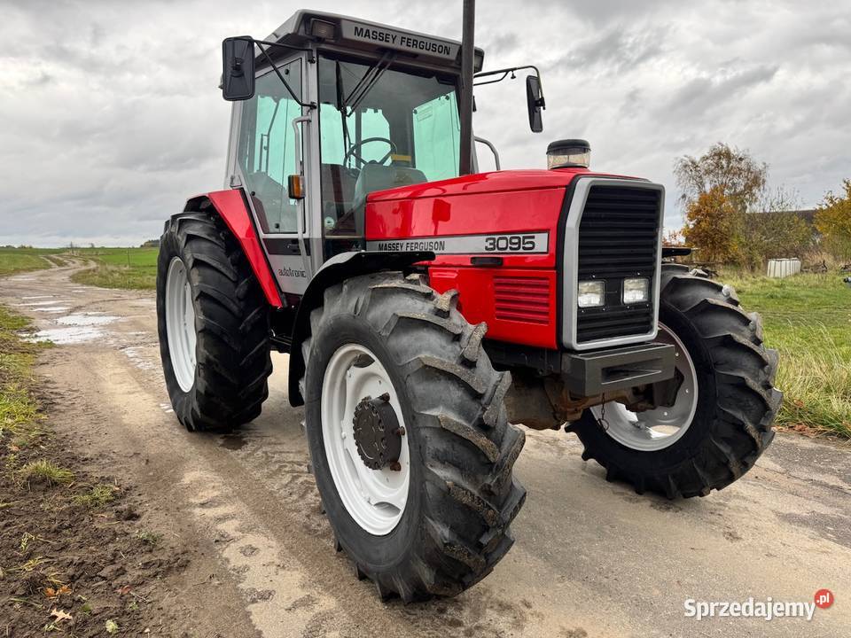 Massey Ferguson 3095 sprowadzony klimatyzacja Konarzynki