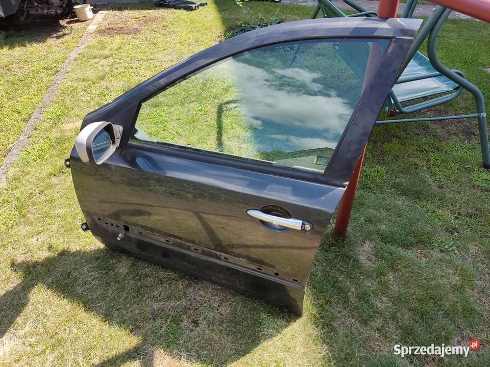 drzwi lewe prawe tył przód Laguna ii TEB66 osobowe Jedlnia-Letnisko