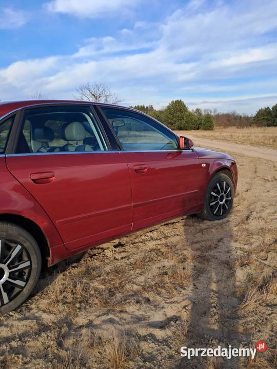 Audi A4 B7 2005r Diesel 20TDI Automat A4 mazowieckie Ulaski Grzmiąckie