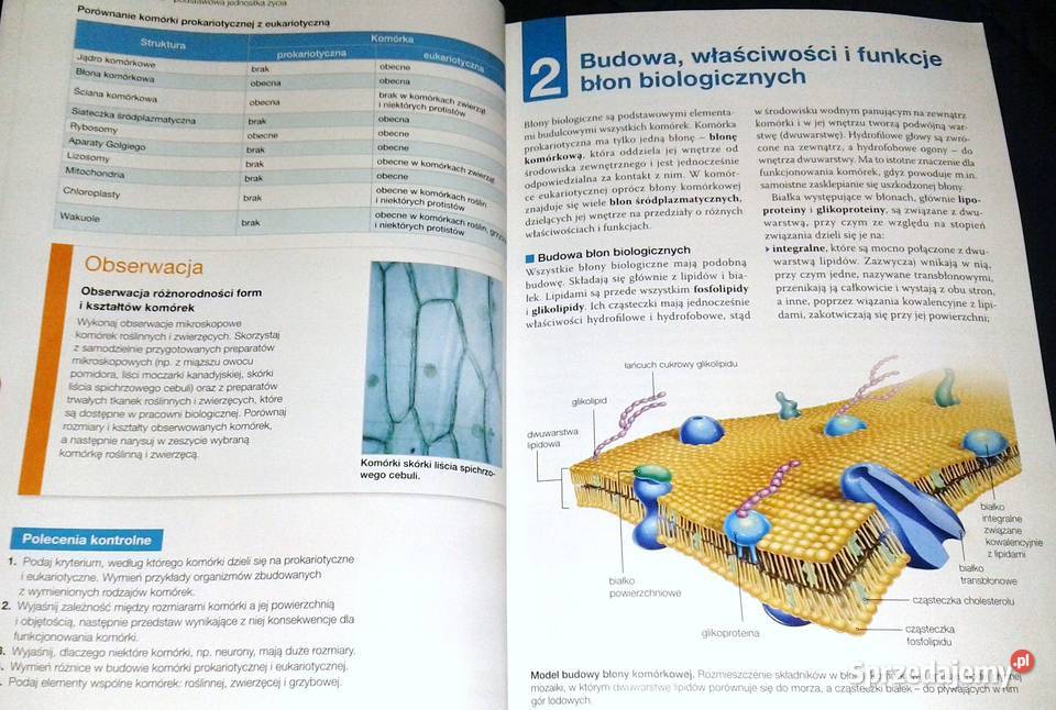 Biologia na czasie 1 Podręcznik Zakres Rok wydania 2018 Chełm sprzedam