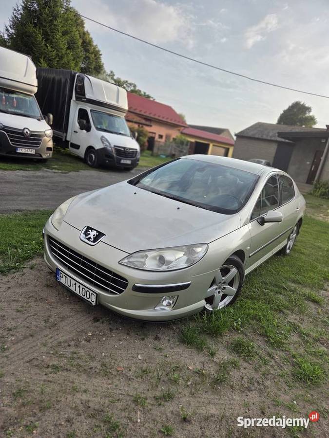 Peugeot 407 automat wielkopolskie Turek