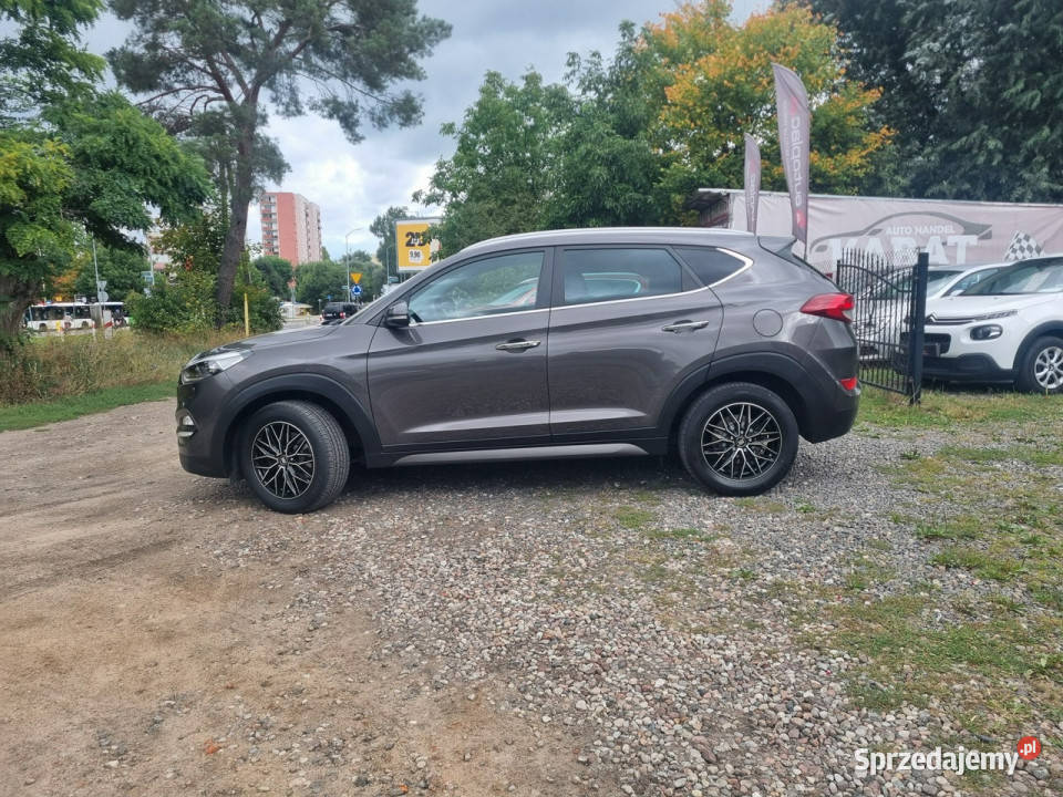 Hyundai Tucson Salon I WŁ STYLE Książka Szczecin