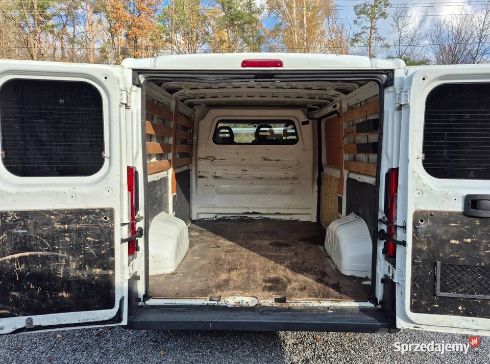 Citron Jumper Super Stan Gwarancja Przebiegu Kazimierz Dolny