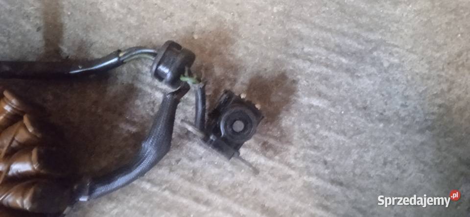 Stator iskrownik impulsator Suzuki Intruder 125 Wadowice sprzedam