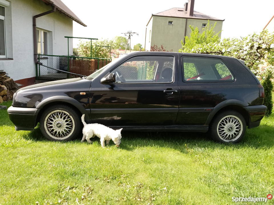 GOLF GTI 20 JAHRE EDITION Rok produkcji 1996 Golf