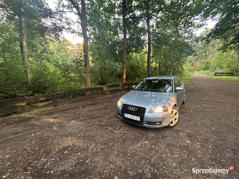 Audi a3 8p 19 tdi BKC 105 Świebodzin