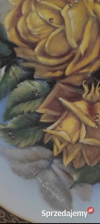 Frstenberg Najpiękniejsze stare różetalerz Pabianice