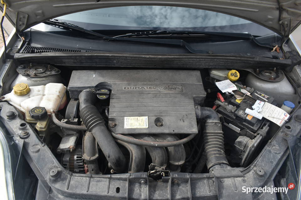 Ford Fiesta V 14i kupiony w Polsce Fiesta Kunów