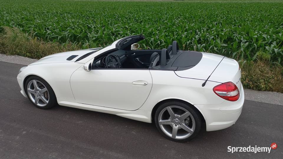 MercedesBenz SLK 350 AMG Sport Package 272KM Bronisze