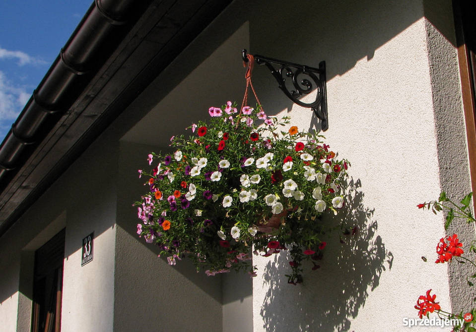 WSPORNIK WIESZAK PÓŁKI ŻELIWNY KWIAT PODPÓRKA warmińsko-mazurskie Gołdap