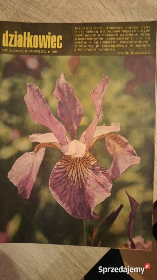 Działkowiec czasopismo PRL Jędrzejów